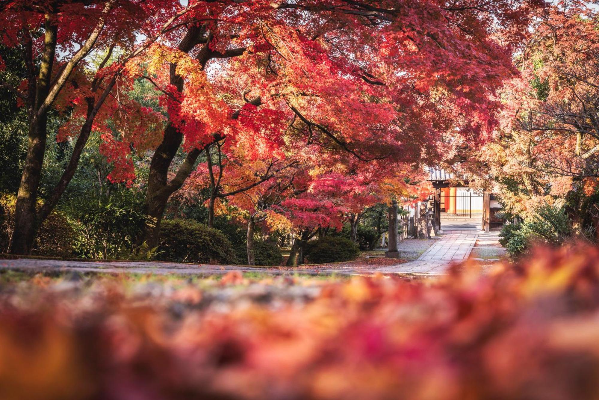 Omo5 Kyoto Gion By Hoshino Resorts Luaran gambar